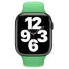 Спортивный ремешок Apple Watch 41 мм зеленый